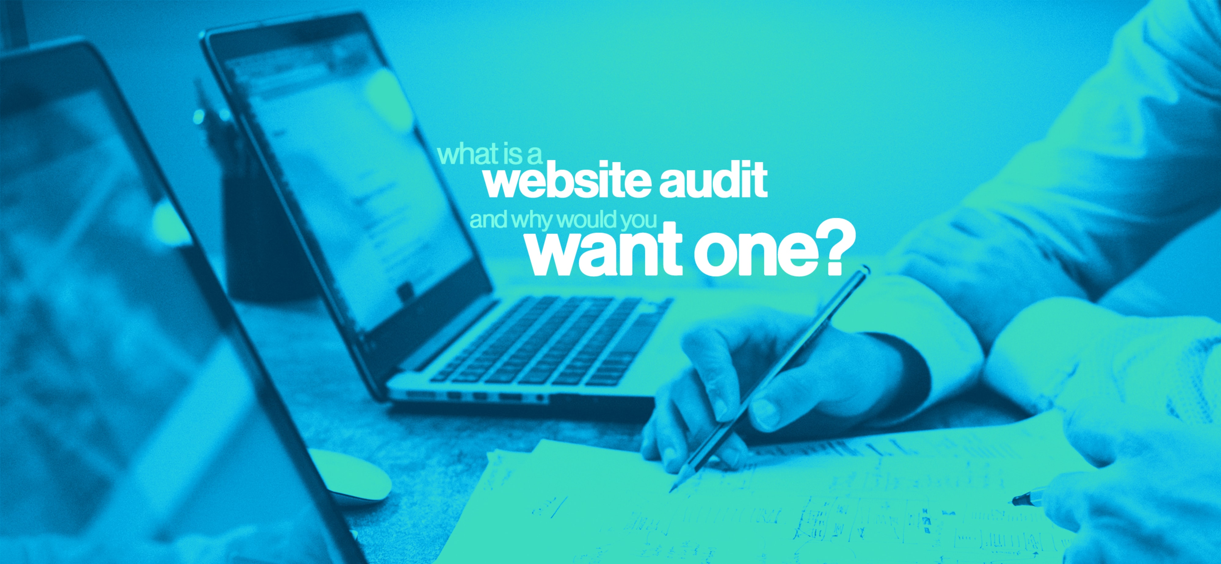 Website Audit - Want One - Blog Hero.jpg